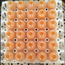 蒸实蛋模具形状蒸做实蛋模具商用东北烧烤家用石蛋制作塑料鸡蛋壳
