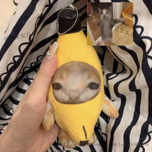 �㽶؈����W�t؈ë�q����㽶؈����؈���I��ͬ�W���н≺���