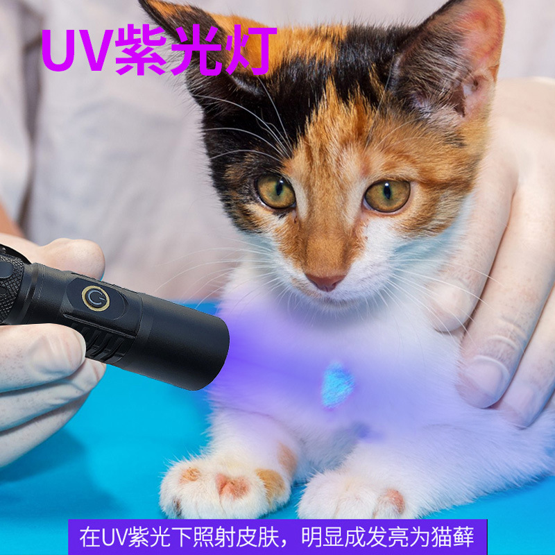 UV negro espejo detector de dinero luz púrpura 365nm fluorescente agente de detección linterna UV lámpara máscara lámpara de iluminación de prueba