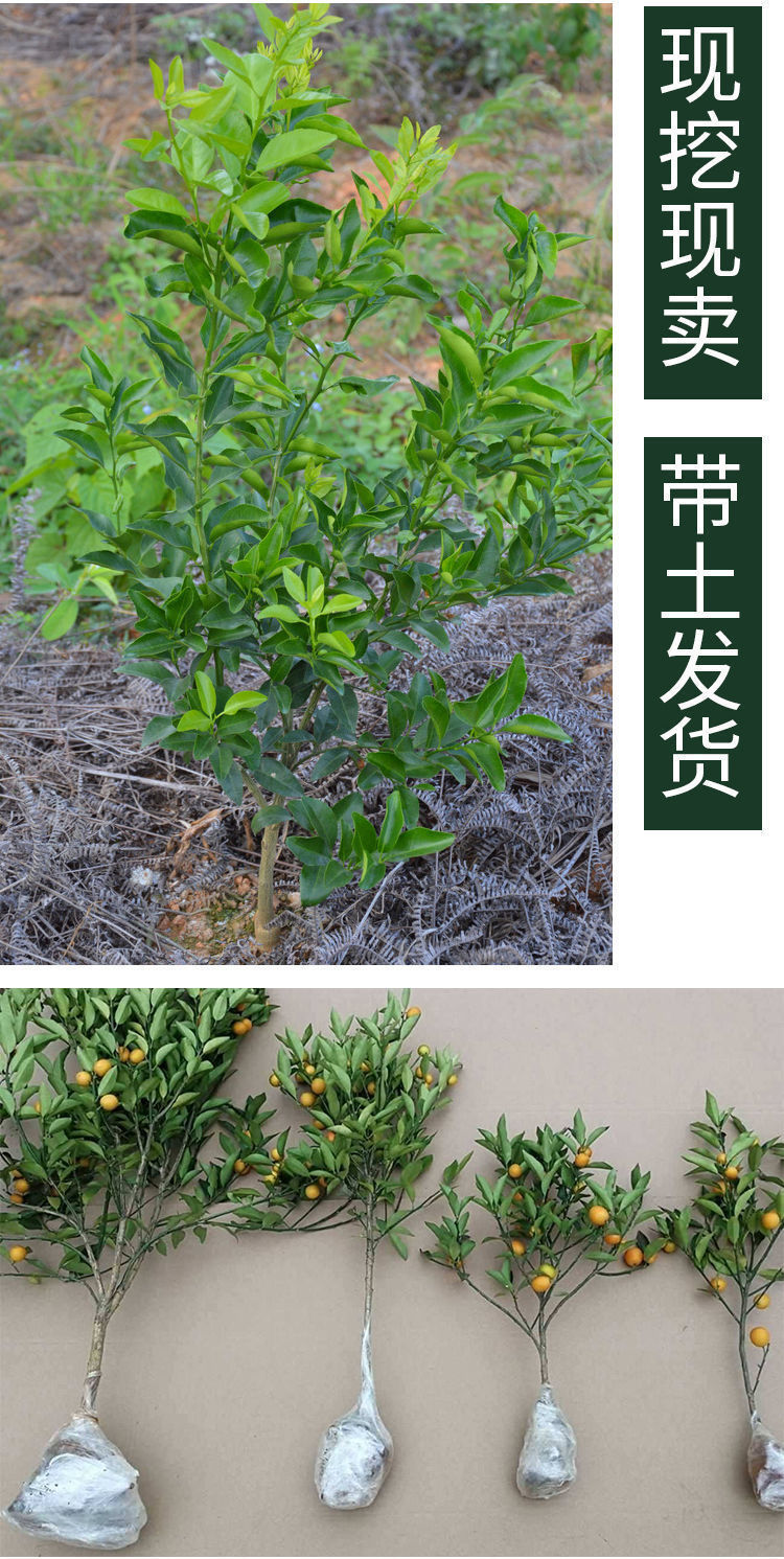 98df611c-15c6-436f-aa0c-583241