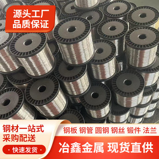 ����Ni95Al5�z����X�Ͻ�Ni95Al5��X�z0.05-2.0
