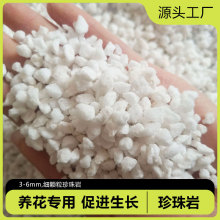 珍珠岩无尘大颗粒养花通用营养土多肉兰种植育苗膨胀保温硬质植料