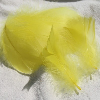 노란색 (100 루트 배치)