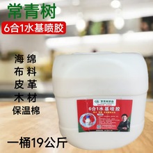 ˮzhζzɳldܛҾľȼ19