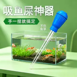 清洁球/刷;厨房小工具;衣钩/挂钩