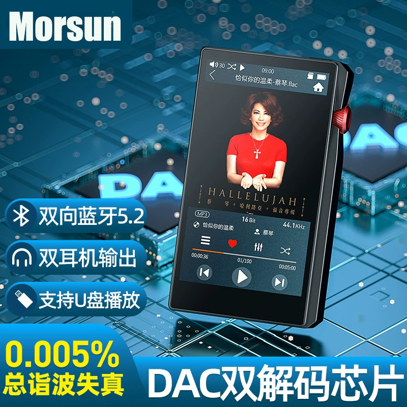 Материнская безглазковая DSD256 24-битный плеер с большим 4,5-дюймовым экраном, двойной Bluetooth OTG диск