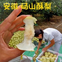 ���� �Xɽ����� �Xɽ�� ���rˮ������ ��֭��ɽѩ���Ї��GɫʳƷ