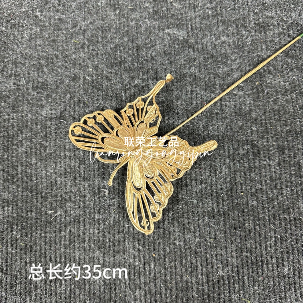 Single small butterfly