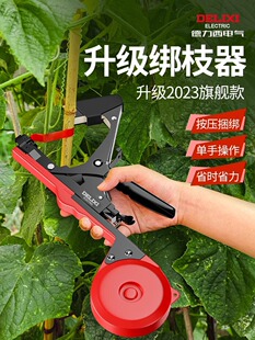 ���������ѽ�֦�C�¿֦������֦��֦���ѽ�����֦���t����֦��