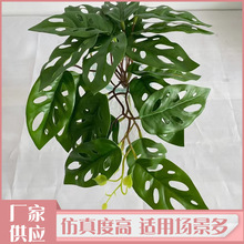 ֲGֲb^z~ֲ廨ľG~9^~