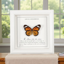 ������걾��� �ֹ�diy����������Ϧ�������Ʒ�ɰڿɹ�����걾