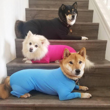 中大犬厂家打底全包四脚秋冬狗狗衣服四脚衣服宠物服猫咪弹力