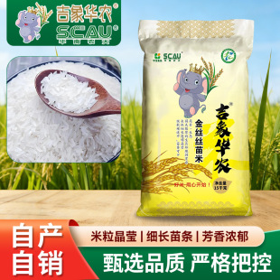 �����A�r��z�z���������������z��15KG�o���׼��L��l����ˬ��
