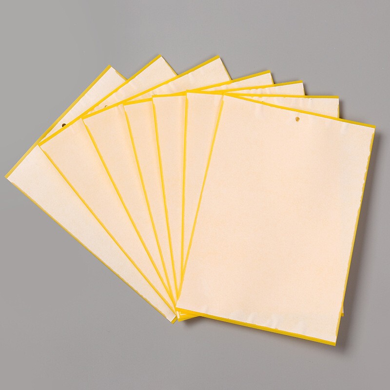 Customized Wholesale Fruit Fly Sticky Board Cockroach Small Moth Trap Sticky Fly Trap Garden Orchard Trap