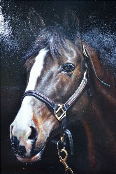 50322 Caballo de lujo ligero03