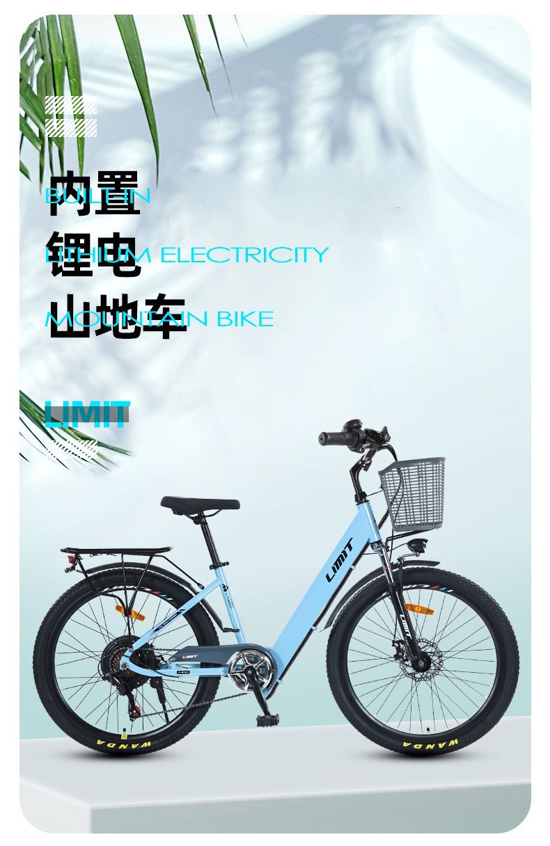 Electric Bicycle New National Standard Built-in Battery Lightweight