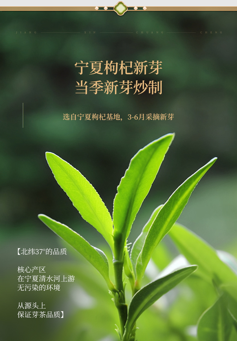Ning'anbao Goji Sprout Tea Gift Box Ningxia Wolfberry Leaf Tea 200g Premium Grade specifications
