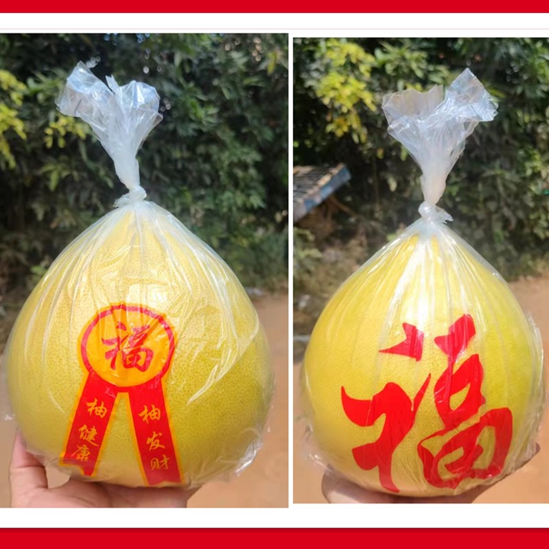 [No contiene pomelo] Embalaje tres carne roja pomelo Majia pomelo fresco azúcar cristalino Shatian pomelo Meizhou Golden Pomelo bolsa de regalo