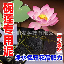 ��ɏ������ˮ������ɏ�����಻��ˮ����ˮ��ɏ˯ɏˮ��ֲ��I�B��