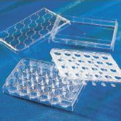 HTS Transwell-24孔膜嵌套 Permeable support