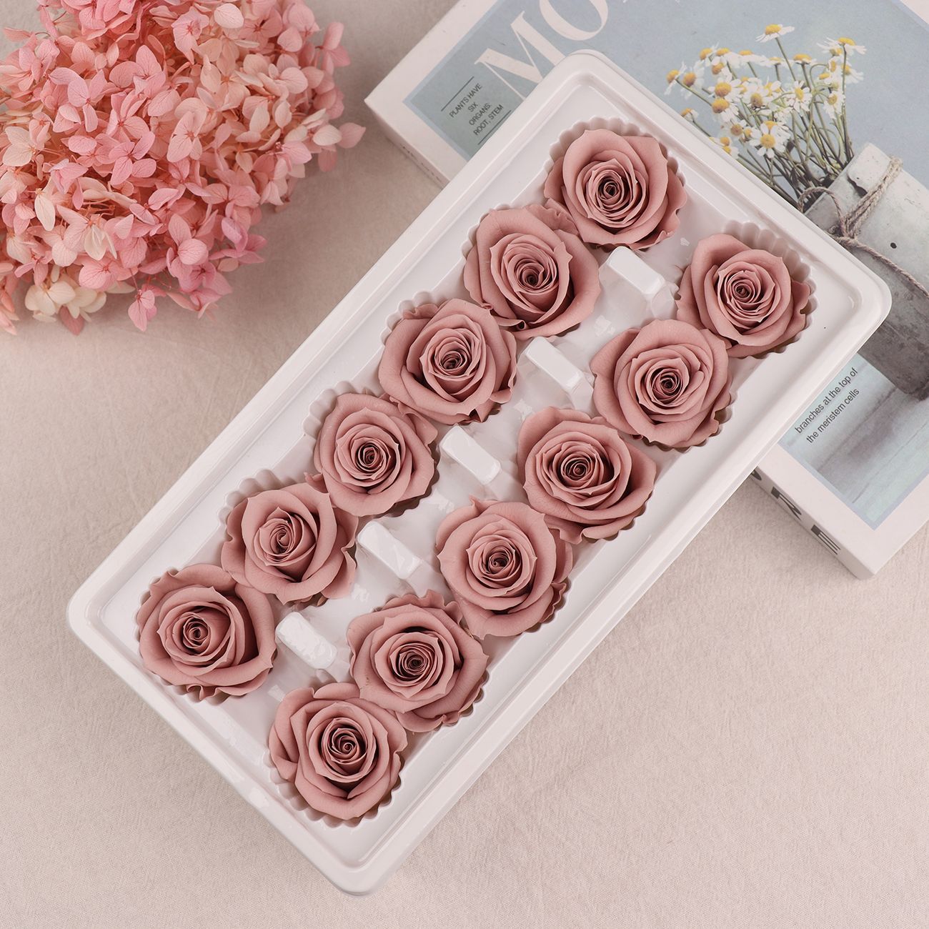 Cabezas de Rosa Eternas A+, 3-4 cm, 12 Piezas, Materiales para Manualidades Florales, Caja de Regalo, Fabricante, Venta al por Mayor