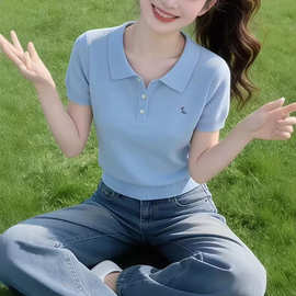 浅蓝色polo领针织刺绣短袖T恤女2026新款夏季多巴胺穿搭气质上衣