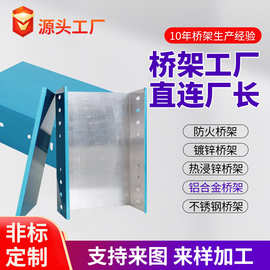 桥架厂家槽式防火桥架喷塑桥架金属钢制线槽大跨距梯式铝合金桥架