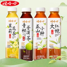 娃哈哈正山小种红茶大红袍普洱500ml*15瓶整箱批发代发无糖茶饮料