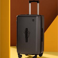 �ʹ�  C-F2021H/25 ��̎�ְ� ���U�� ʯī��