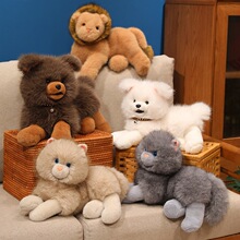 �ɐ۹���ë�q���ſ��С؈�䱧�����Ӱ��������ż����{�ӿ羳