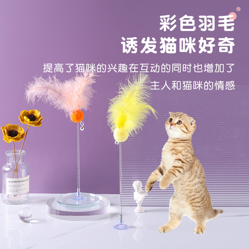 interactive toy