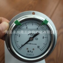 �ձ�ASK������OPG-DFT-G1/4-60x10MPa����ӋOPG-DT-G1/4-60x10MPa