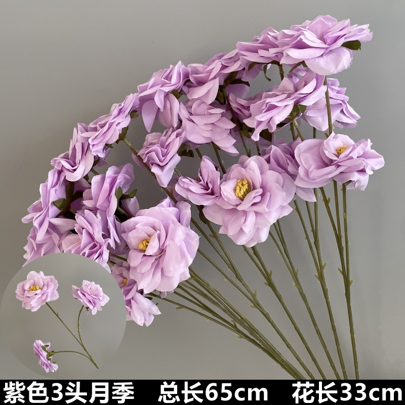 보라색 3등신 장미