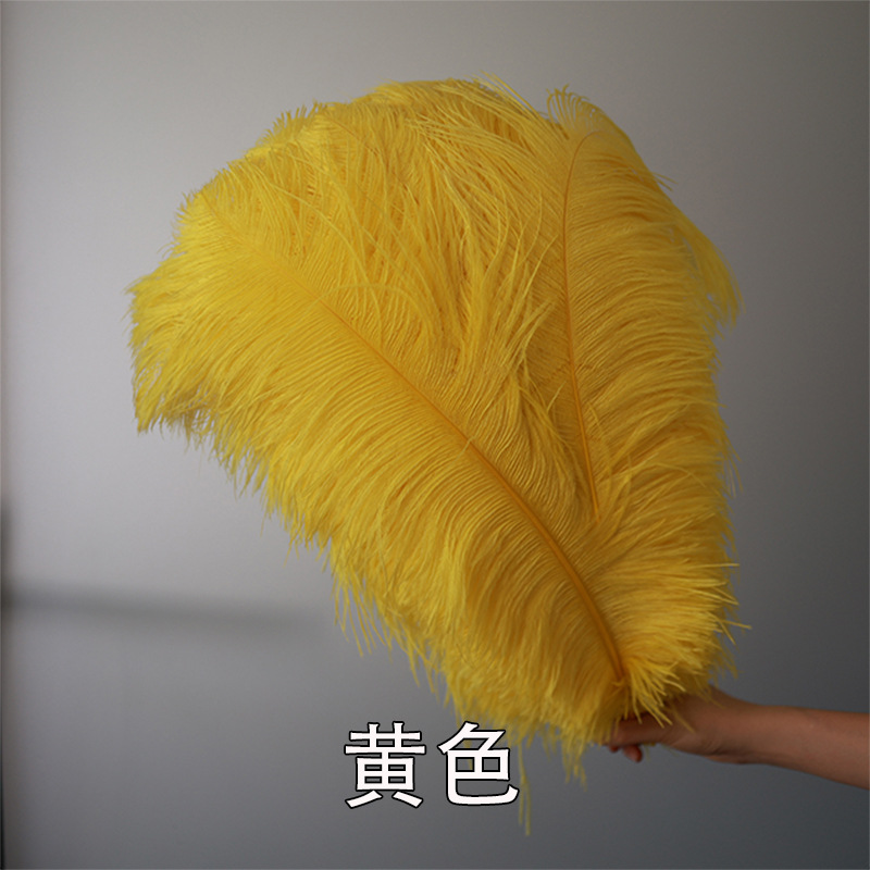 Fabricantes de pelaje de avestruz 50 - 55CM boda guía de la mesa flor de plumas de avestruz adornos de red pared roja plumas de espectáculo de escenario image 18