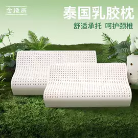 乳胶枕;乳胶床垫;其他内衣