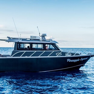 Factory direct aluminum alloy fishing boat private yacht leisure fishing boat aluminum boat Sea boat sea fishing boat aluminum boat