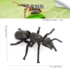 PL127-2232 Black Ant