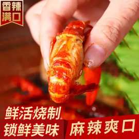 国联水产柳伍水产调味小龙虾750g麻辣味十三香4-6加热即食冷冻