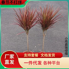 һ�����lǧ��ľ�߲��F�Gֲ�����҃��k���ҿ͏d����ֲ��͏d��Ѫ��