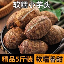 ţ��С��ܵ���^���r����������^�F��ë����С�������b����