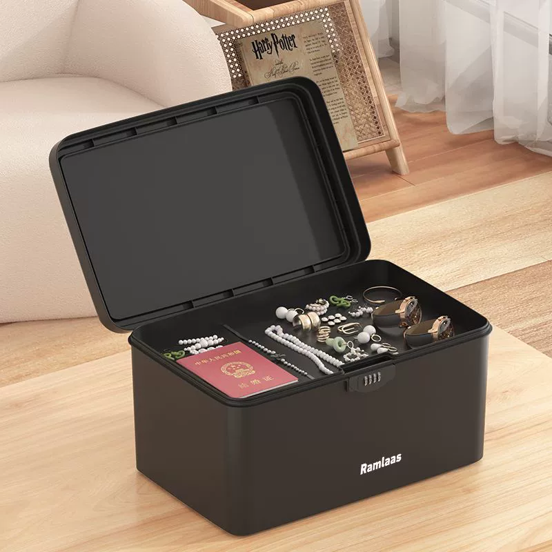 Capacious storage box for documents