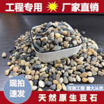 豆石地暖专用保温回填铺路水洗过滤鱼缸铺底鹅卵石溪流沙原生豆石