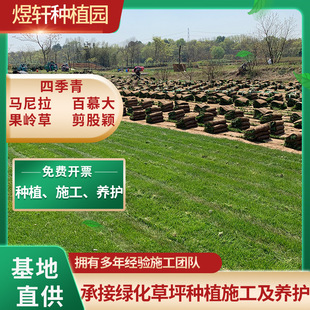 ���òݷN�Ӱ�����Ľ���Ƥ�ļ������ͺ��ͺ����޼�С�^ͥԺ�G��