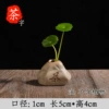 [小石头【茶】]