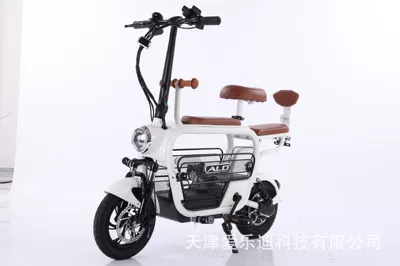 48V Electric Car, Qatlanan elektrik velosipedlər - pet-naked-car-white