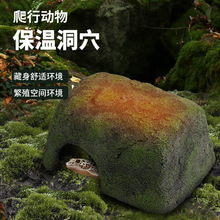 爬虫爬行动物就加热保温洞穴躲避蜥蜴守宫宠物蛇加热12V安全电压