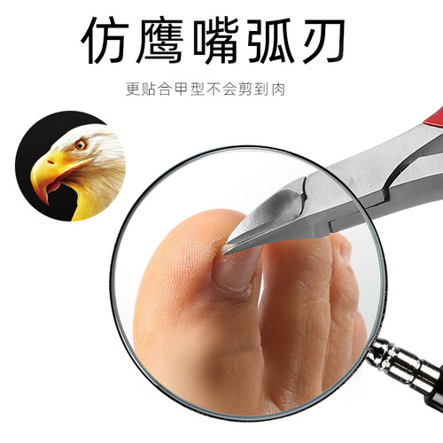 Foldable Multifunctional Nail Clipper with Eagle Beak Dead Skin Pliers Stainless Steel Nail Steel Pusher Nail Cleaner Nail Groove Special Nail Cutter