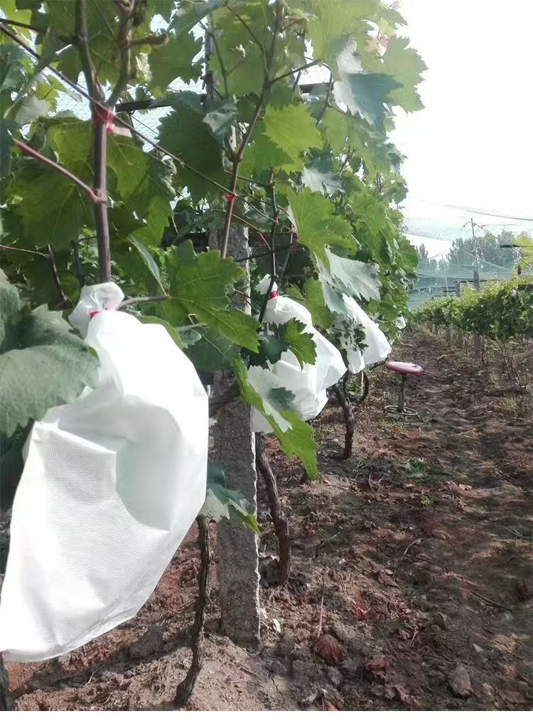 0d59f0d0126d91f3e8c2e327502cfd