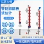 磁性定制浮子不锈钢液位计