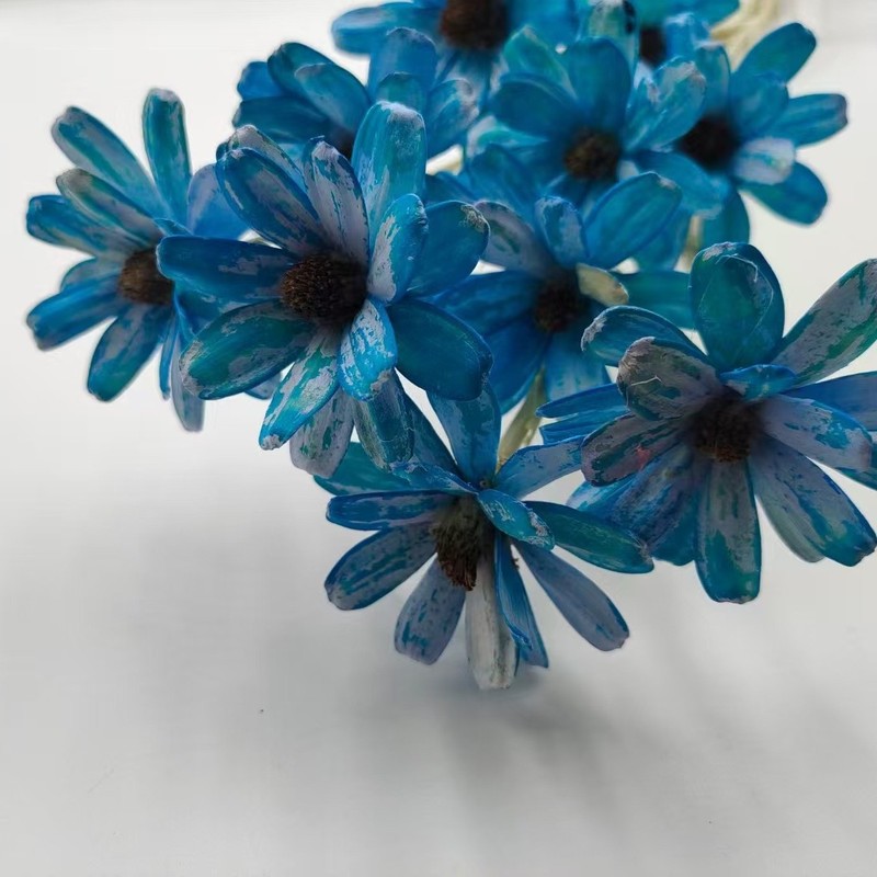 永生瓜子花手工干花DIY材料包瓶插花天然真花拍摄道具INS风植物|undefined